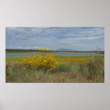 Ashurst See - Fahnenmast, Arizona-Fall 2012 Plakate
