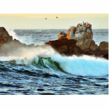 Asilomar setzt Wellen-Ozean-Dämmerung auf den Stra Photofigur