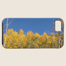 Aspen-Bäume, Colorado casemate hüllen