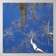 Aspen-Himmel Plakatdrucke