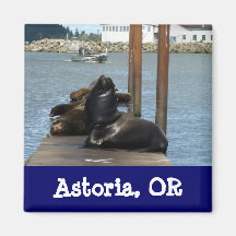 Astoria Oregon Seelöwen Magnete