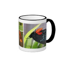 Atala Schmetterlings-Lebenszyklus-Kaffeetasse