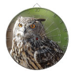 Atemberaubende Adler-Eule mit orange Augen