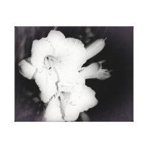 Atemberaubende Blume Galerie Faltleinwand