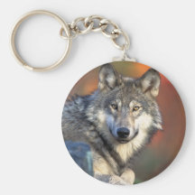 Atemberaubender grauer Wolf Schlüsselband