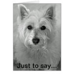 Atemberaubender Westie Hund - traurige Karte