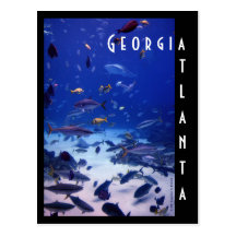 Atlanta-Aquarium, Georgia Postkarte