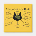 Atlas des Gehirns einer Katze Magnets