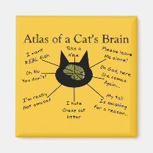 Atlas des Gehirns einer Katze Magnets