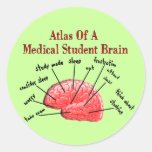 Atlas des Medizinstudent-Gehirns Sticker