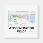 Atp-Generations-Innere (Elektron-Transport-Kette) Kühlschrankmagnete