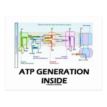 Atp-Generations-Innere (Elektron-Transport-Kette) Postkarten
