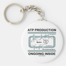 Atp-Produktions-laufendes Innere Schlüsselband