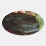 Auberginen-Oval-Aufkleber