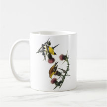 Audubon AmerikanerGoldfinch Teehaferl