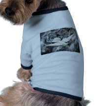 AUF DEN FLÜGELN EINER TAUBE HUND SHIRT