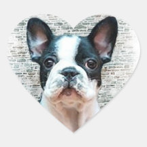Aufkleber Welpe der französischen Bulldogge