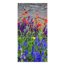 Aufstand von Farben Photokarten