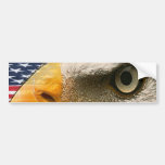 AUGE EAGLES (PATRIOTISCHER AMERIKANER USA) AUTO STICKER