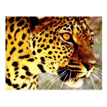 Augen des Leoparden Postkarten