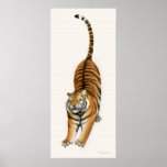 Ausdehnen des bengalischen Tiger-Druckes Posterdruck