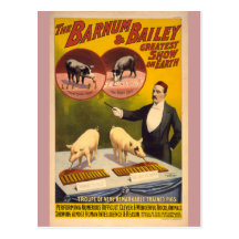 Ausgebildetes Schwein-Zirkus-Plakat Postkarten