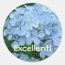 Ausgezeichnet! Aufkleber-Lehrer, die Hydrangea unt