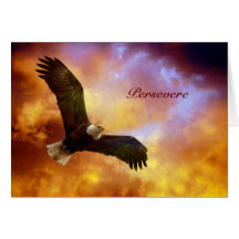 Ausharren-Eagle in Firey bewölkt Karte