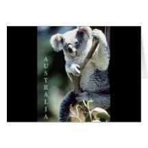 Australien-Koala-Bär Karte