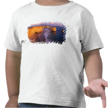 Australien, Victoria. 12 Apostel, Hafen Shirts