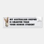 Australische rote Merle Schäfer-Ehre Autosticker