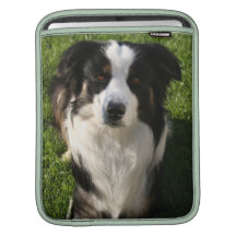 Australische Schäfer-Foto iPad Hülse iPad Sleeves