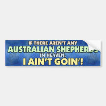 Australische Schäfer im Himmels-Autoaufkleber