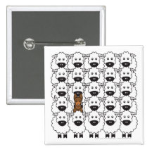 Australischer Kelpie in den Schafen Buttons
