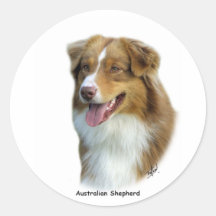 Australischer Schäfer 9K4D-16 Runder Sticker