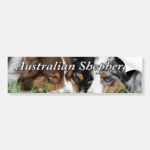 Australischer Schäfer-Autoaufkleber