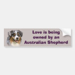 Australischer Schäfer-fabelhafter Autoaufkleber