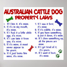AUSTRALISCHER VIEH-HUND PL2 POSTERDRUCK