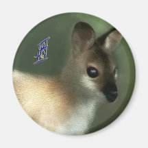 Australischer Wallaby Magnets