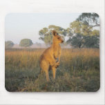 Australisches Morgen-Warenangebot Mousepads