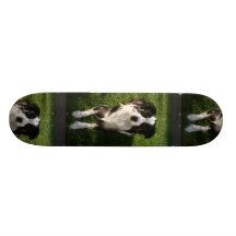 Australisches Schäfer-Foto-Skateboard Personalisierte Skateboarddecks