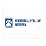 Australisches Schäfer-Miniaturblau Postkarte