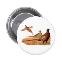 Ausweichende Fasan-Vogel-Jagd Anstecknadelbuttons