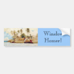 Autoaufkleber: Winslow Homer-Schwamm-Fischer