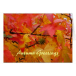 Autumn Greetings Karten