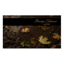 Autumn Swamp Business Card