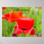 Awesomeness Kunst druckt rote Mohnblumen-Blumen-Wi Posterdrucke