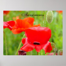 Awesomeness Kunst druckt rote Mohnblumen-Blumen-Wi Posterdrucke