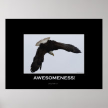AWESOMENESS motivierend Adler-Plakat