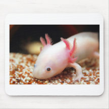 Axolotl Weißling Mauspad